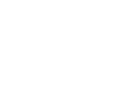 ФЦП (лого)